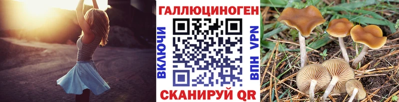 Псилоцибиновые грибы мицелий  Туапсе 